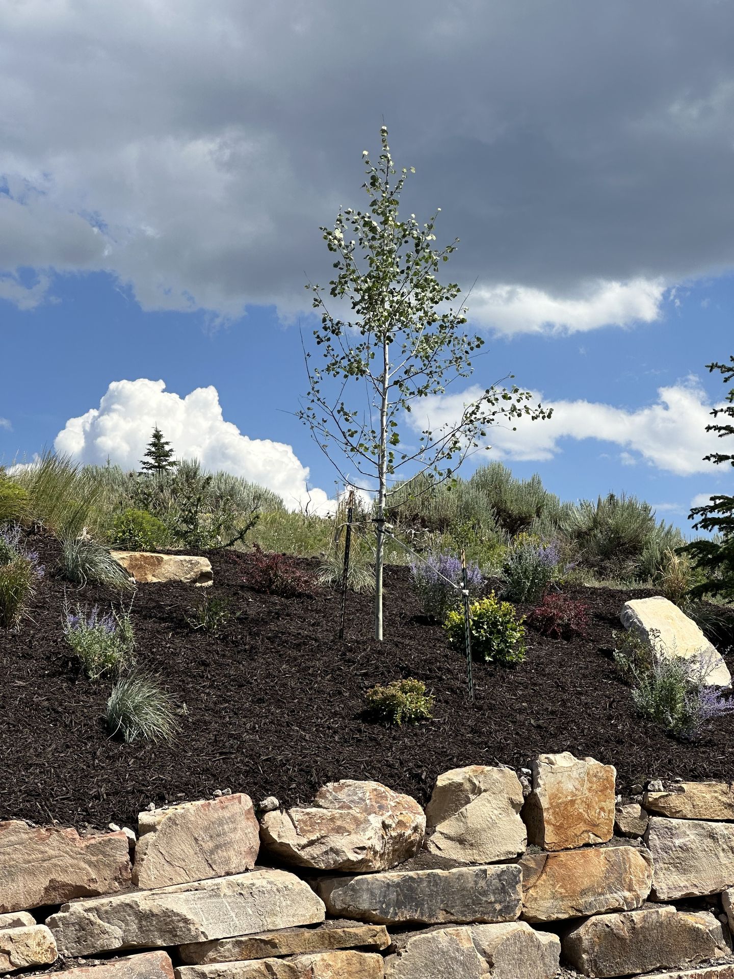 High West landscaping project